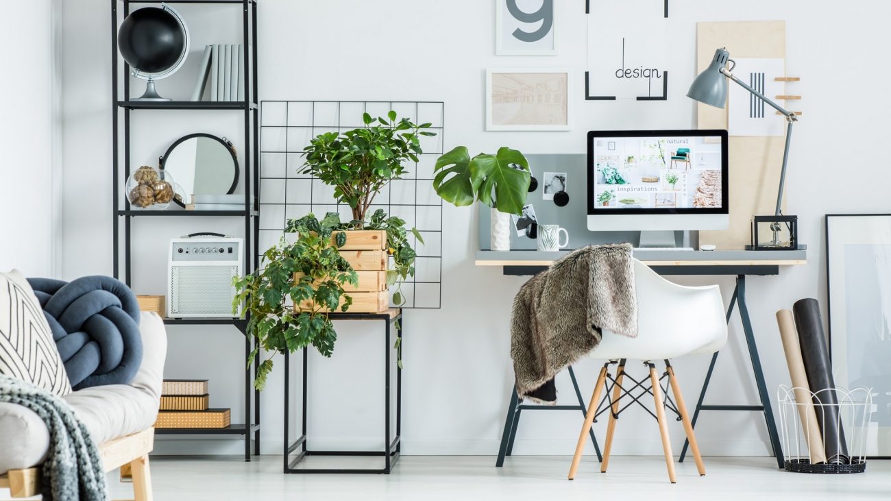 simple-home-office-with-tree-PBXRXYB-large