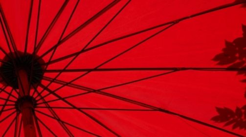 loic-furhoff-YERwza88a0o-unsplash@2x